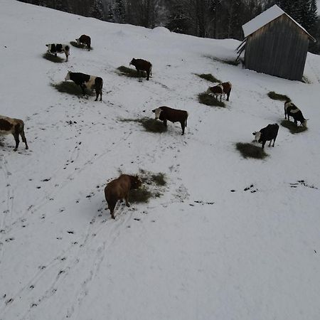 Casa Agroturistica Tarancuta Din Vatra Moldovitei Hotel ภายนอก รูปภาพ