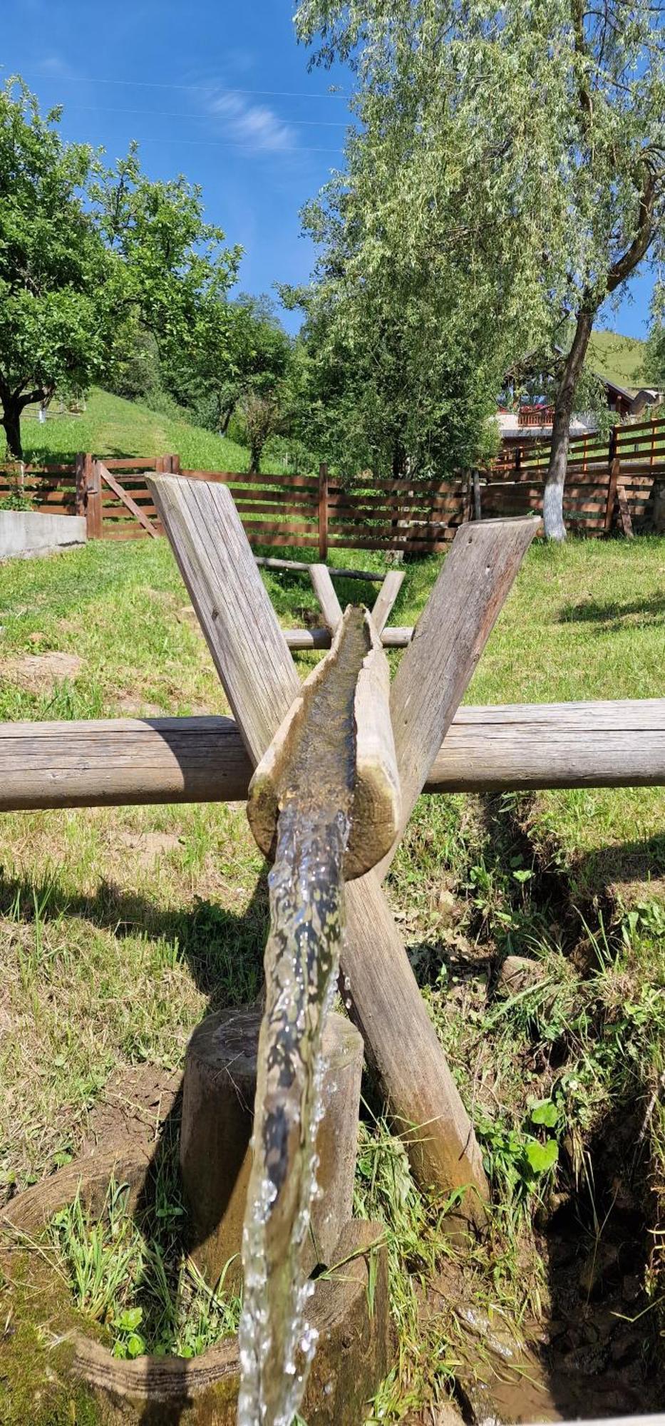 Casa Agroturistica Tarancuta Din Vatra Moldovitei Hotel ภายนอก รูปภาพ