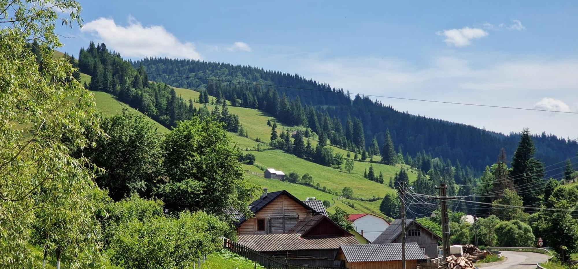 Casa Agroturistica Tarancuta Din Vatra Moldovitei Hotel ภายนอก รูปภาพ