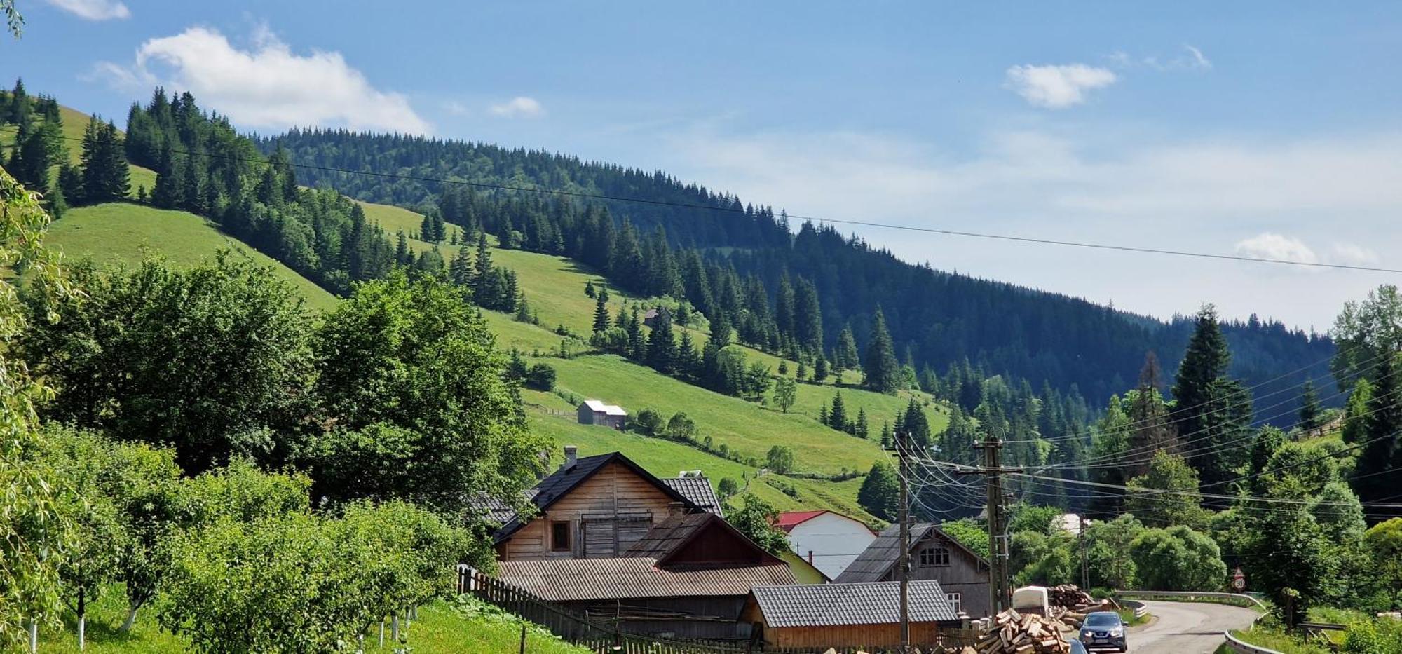 Casa Agroturistica Tarancuta Din Vatra Moldovitei Hotel ภายนอก รูปภาพ